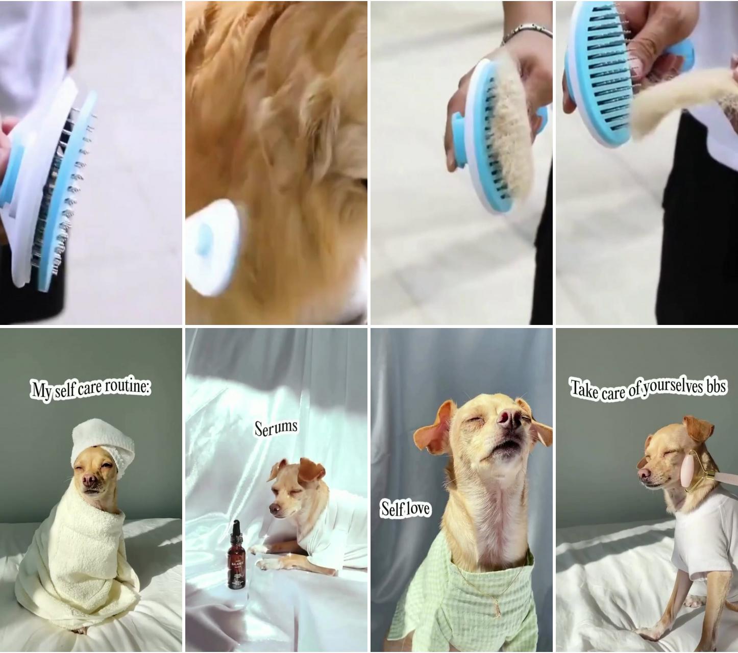 Pet hair comb dog pet brush to flush hair cleaning long hair pet supplies; dog training, dog itself routine dog, cute dog, funny dog