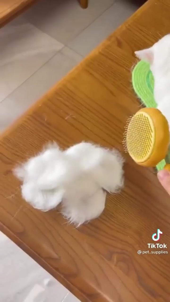 Pet pumpkin self cleaning slicker brush; cleaning cat hair