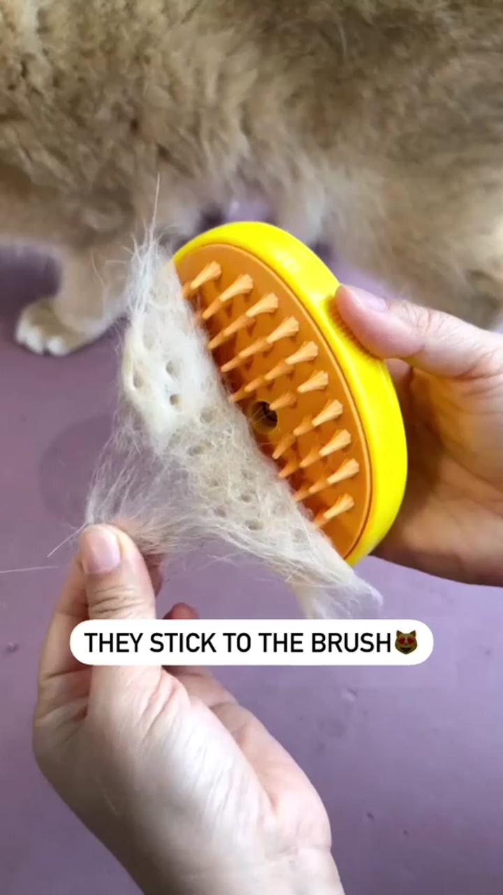 Steamy cat hair brush; vapor