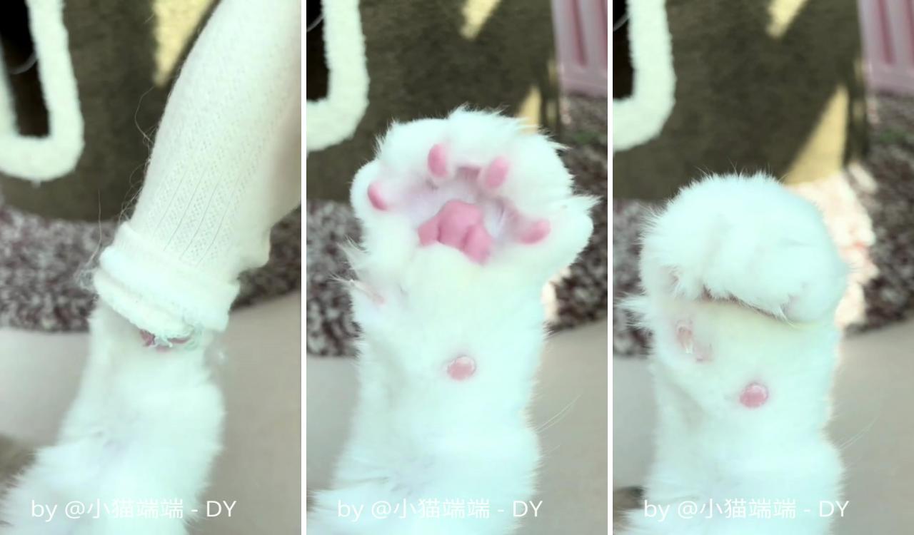 The cat's paw; kittens cutest