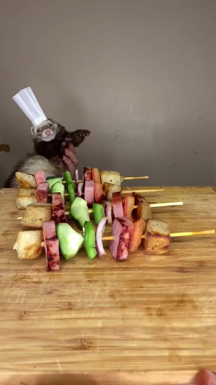 Type the top 5 foods you like the most  ferret chef cooking skewers foryou new cooking vid; cute baby dogs