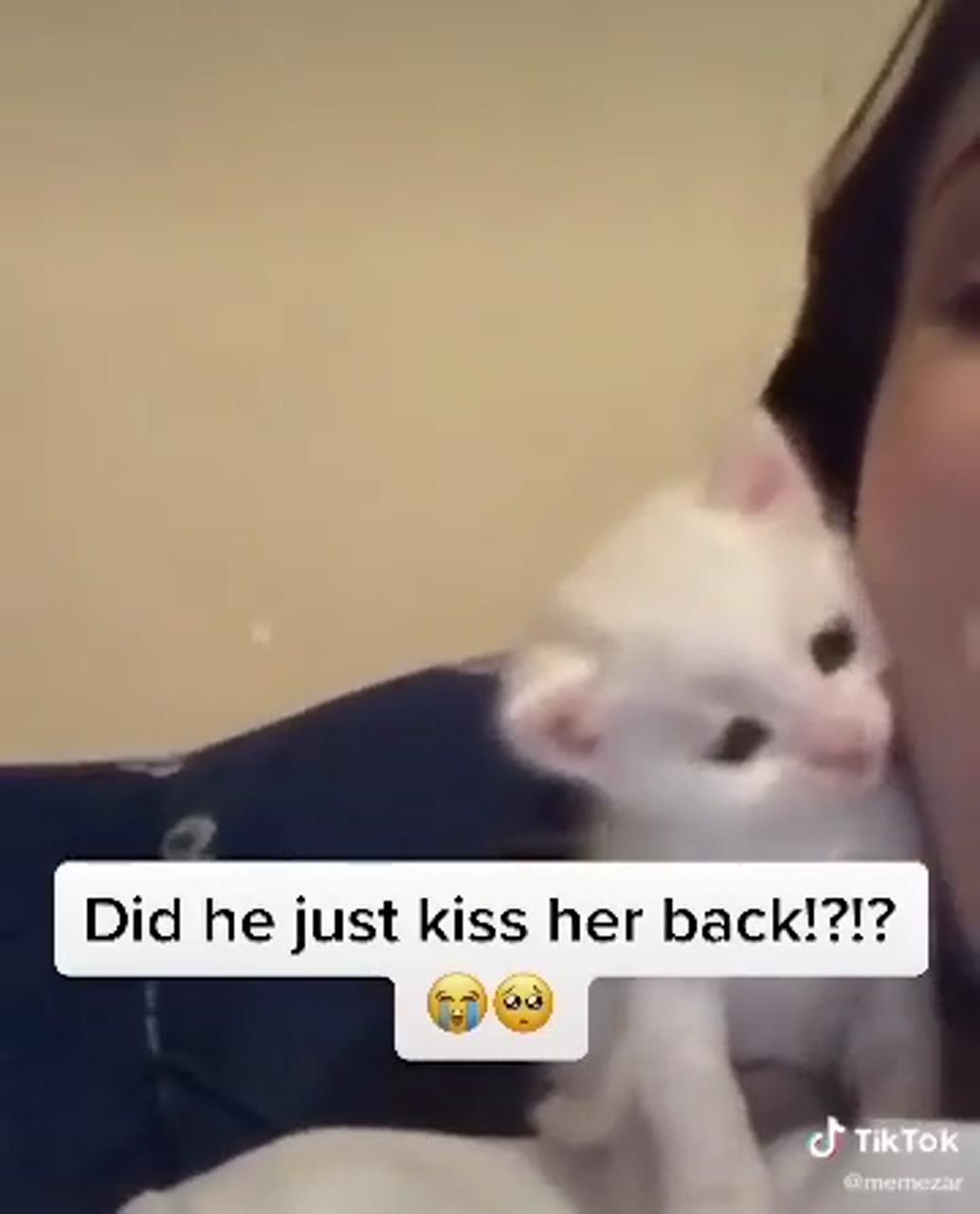 Did he just kiss her back ; cute kittens