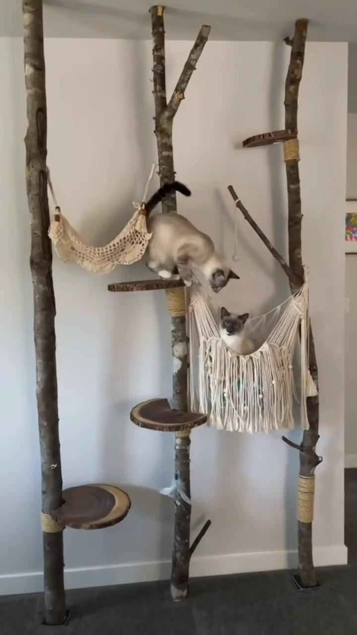 Diy cat tree ; suspended macram'e shelf