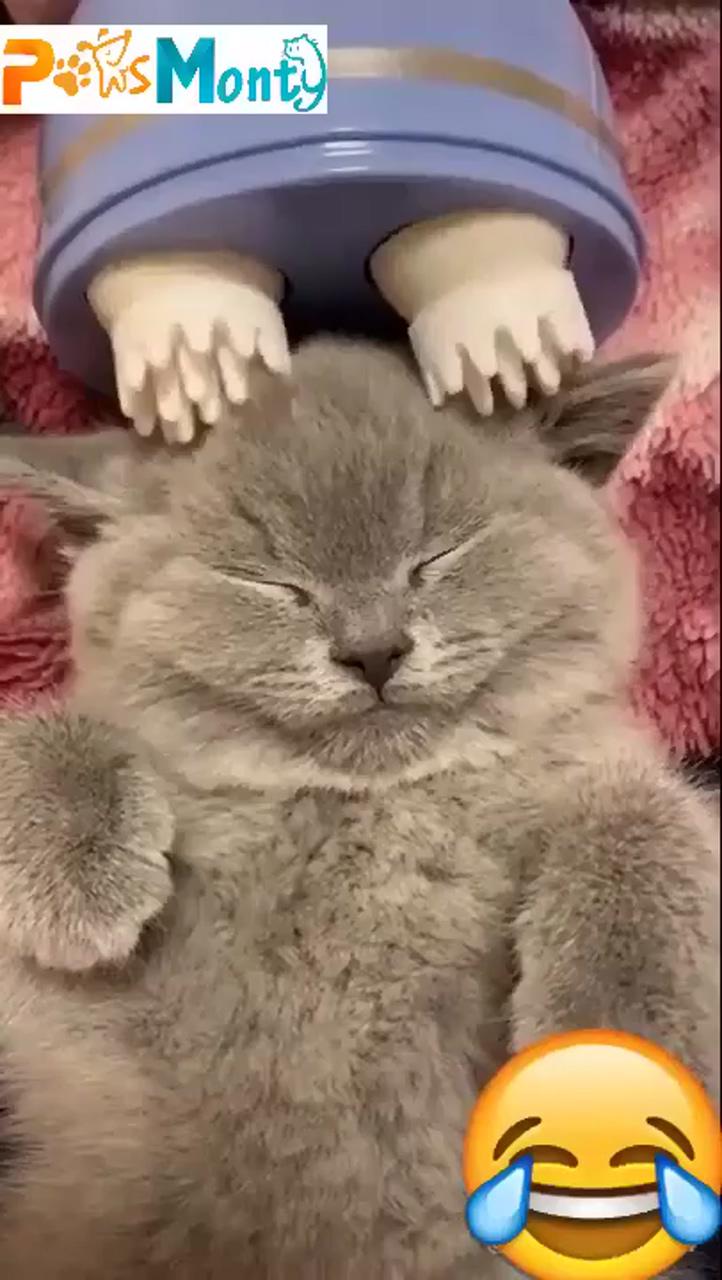 Don't disturb me - its relaxation time; baby animals super cute