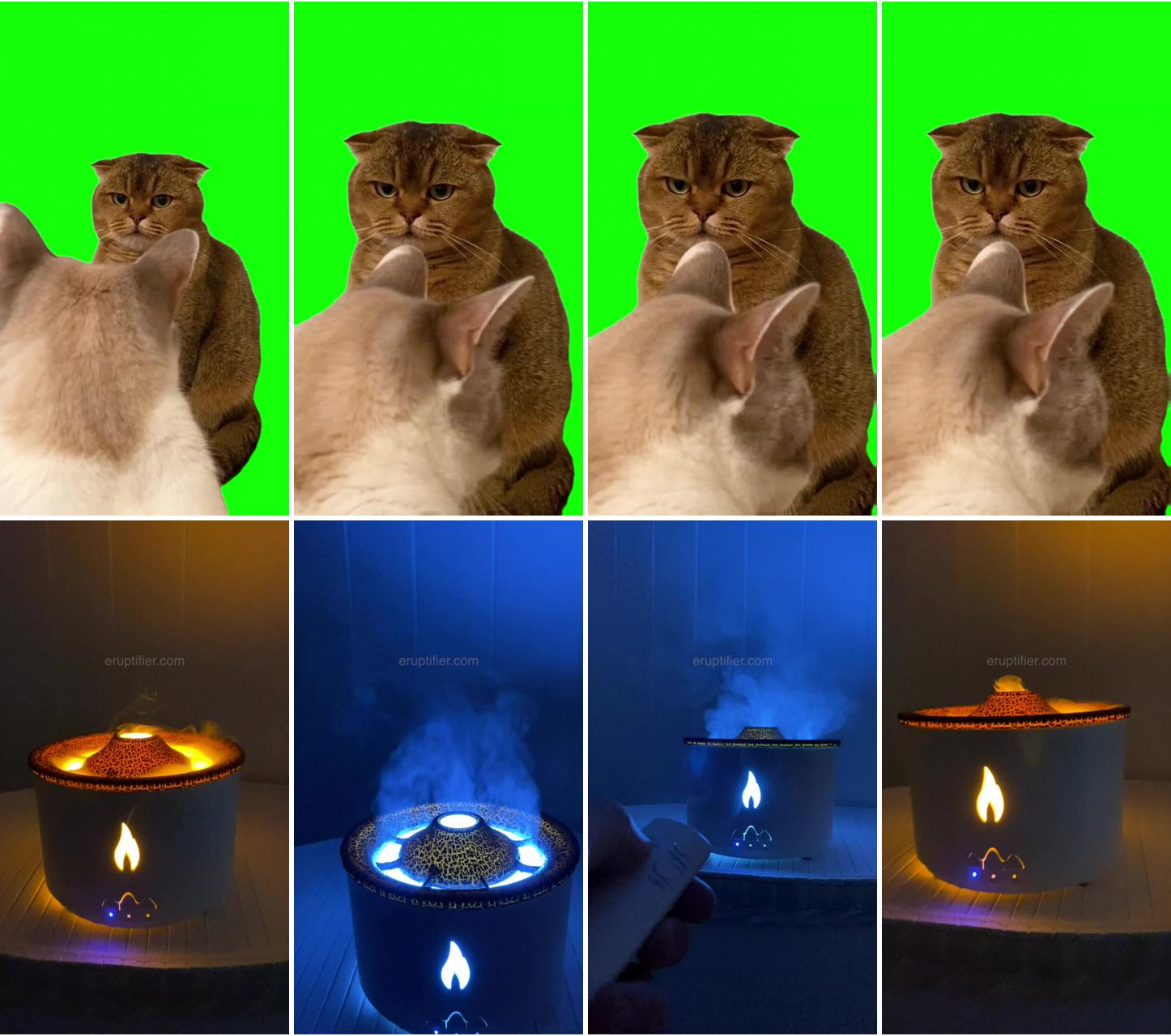 Green screen judgy cat meme; freshen up your space