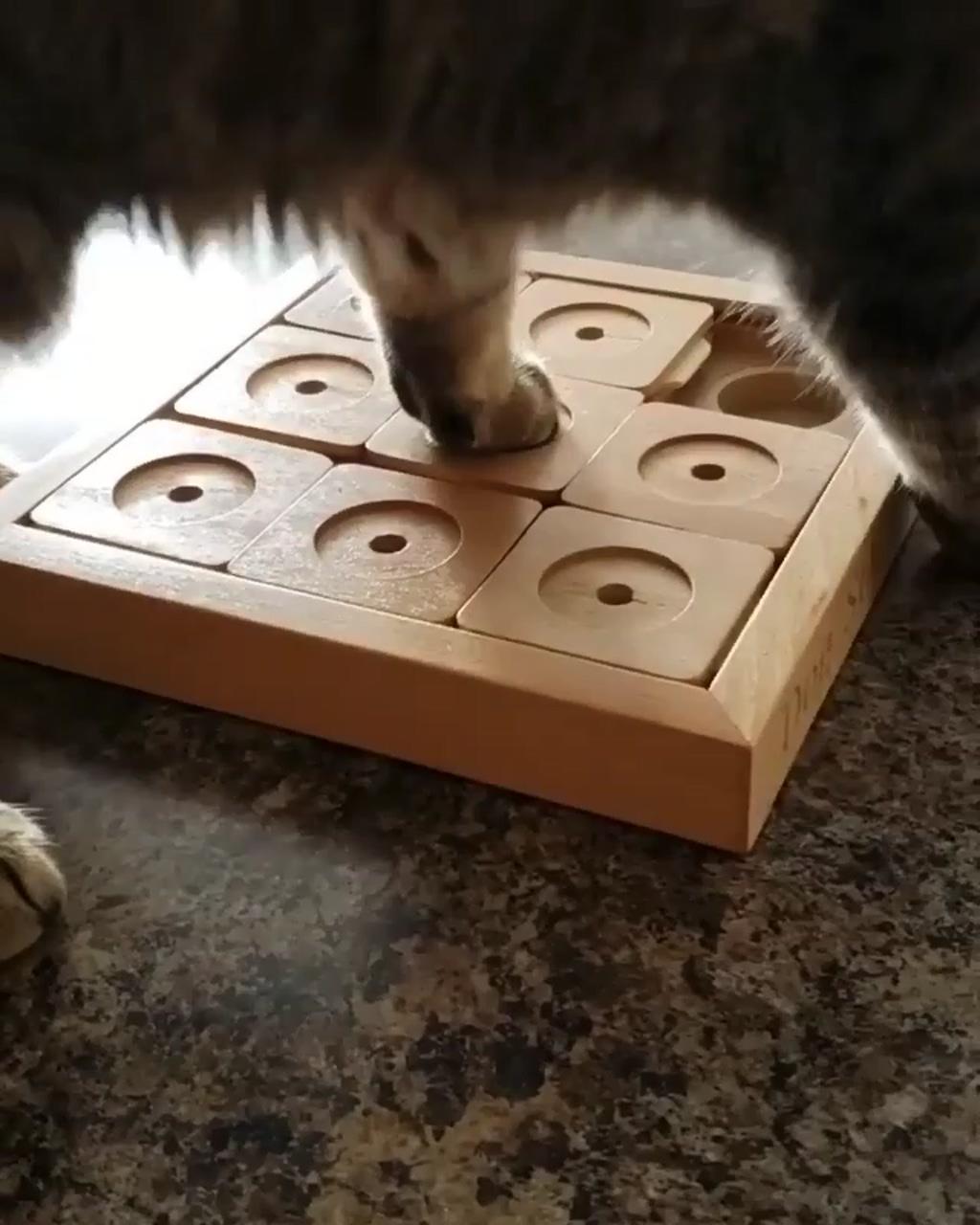 Many of you asked about this treat puzzle so i thought i would share with you how i use it : | kissing cat 