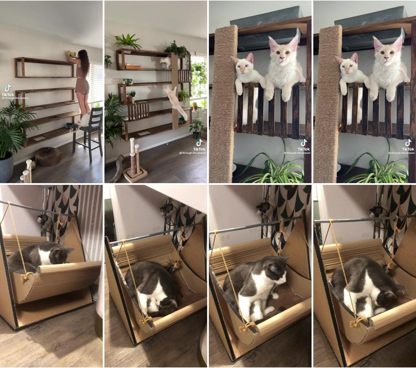 Stella; cat tree house